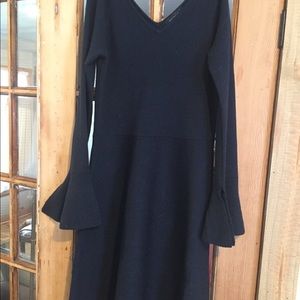 Navy Ann Taylor Flared Sleeve Dress